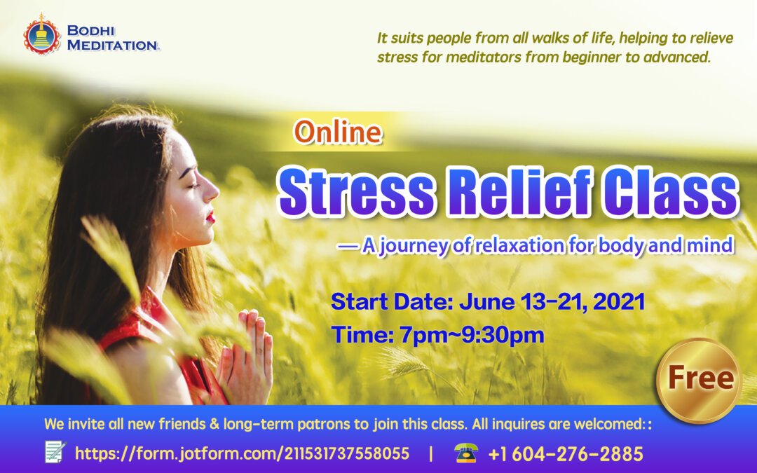 Online Stress Relief Class – A Relaxing Journey